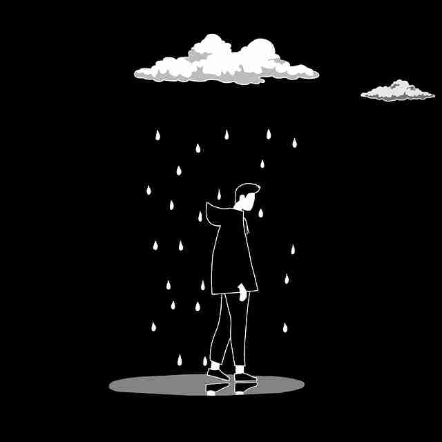 探花视频app高评分系列扩容｜系列作品导览持续提升观看体验